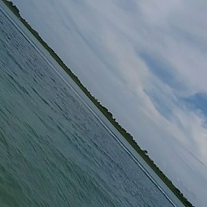 Meet your Posher, Mady